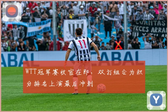 WTT冠军赛收官在即，双打组合为积分排名上演最后冲刺