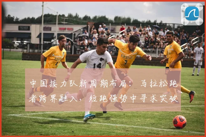 中国接力队新周期布局：马拉松跑者跨界融入，短跑强势中寻求突破