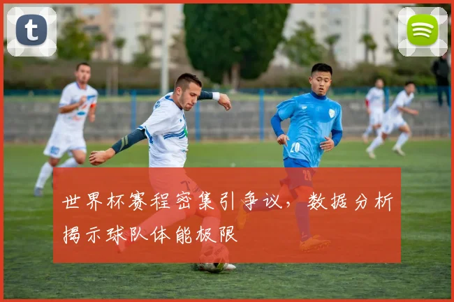 世界杯赛程密集引争议，数据分析揭示球队体能极限