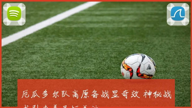 厄瓜多尔队高原备战显奇效 神秘战术引南美足坛关注